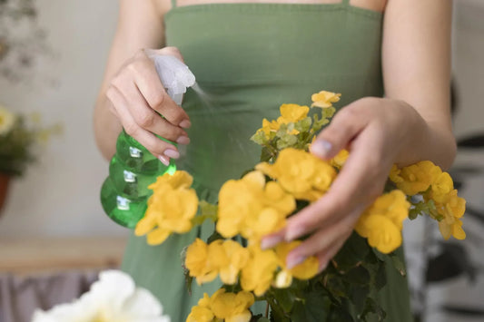 flower-care-tips-guide