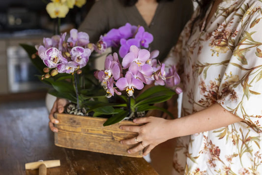 Top Self-Love Flowers in 2025: A Blooming Path to Emotional Wellness