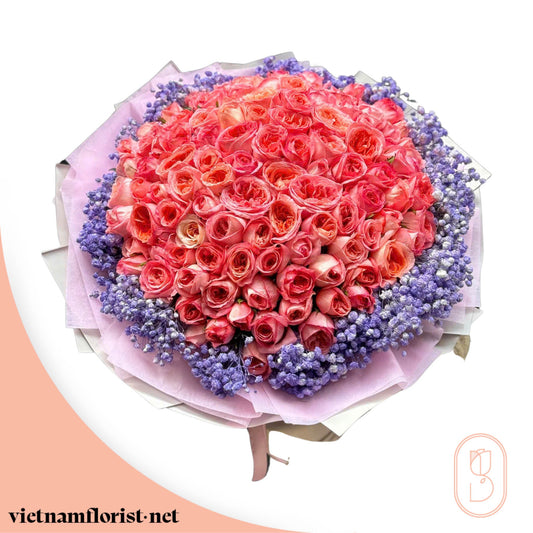 100 Roses, Roses bouquet 'Midnight Bloom' – Delivered in Hanoi, Da Nang, Ho Chi Minh, and across Vietnam