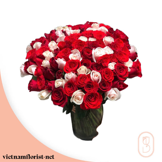 100 Roses, With Vase, Roses bouquet 'Regal Roses' – Delivered in Hanoi, Da Nang, Ho Chi Minh, and across Vietnam