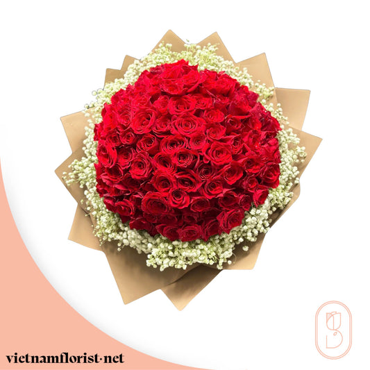 100 Roses, Roses bouquet 'Scarlet Kiss' – Delivered in Hanoi, Da Nang, Ho Chi Minh, and across Vietnam